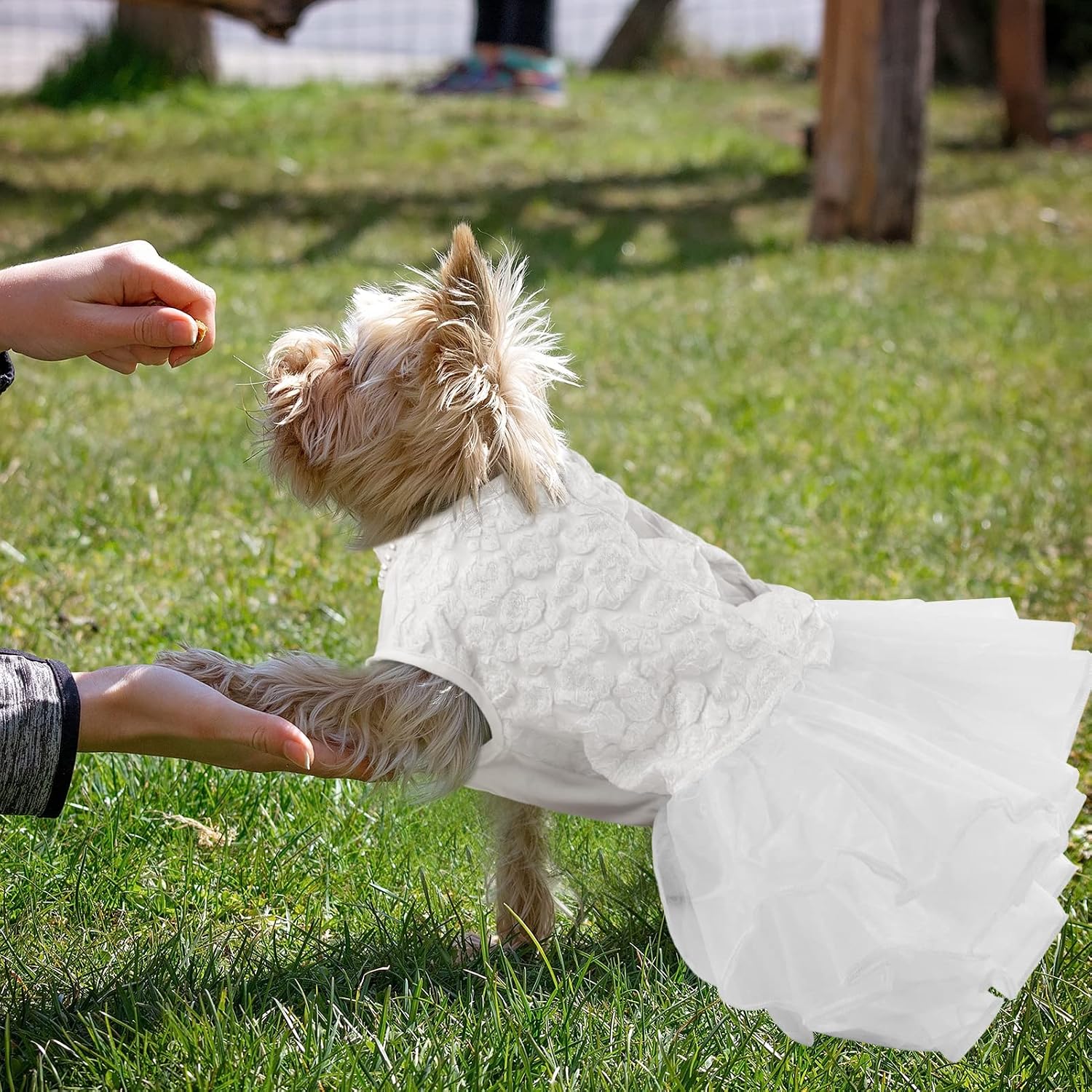 ASENKU Dog Dress, Dog Wedding Dress with Bows, Veil Attachment, White XL