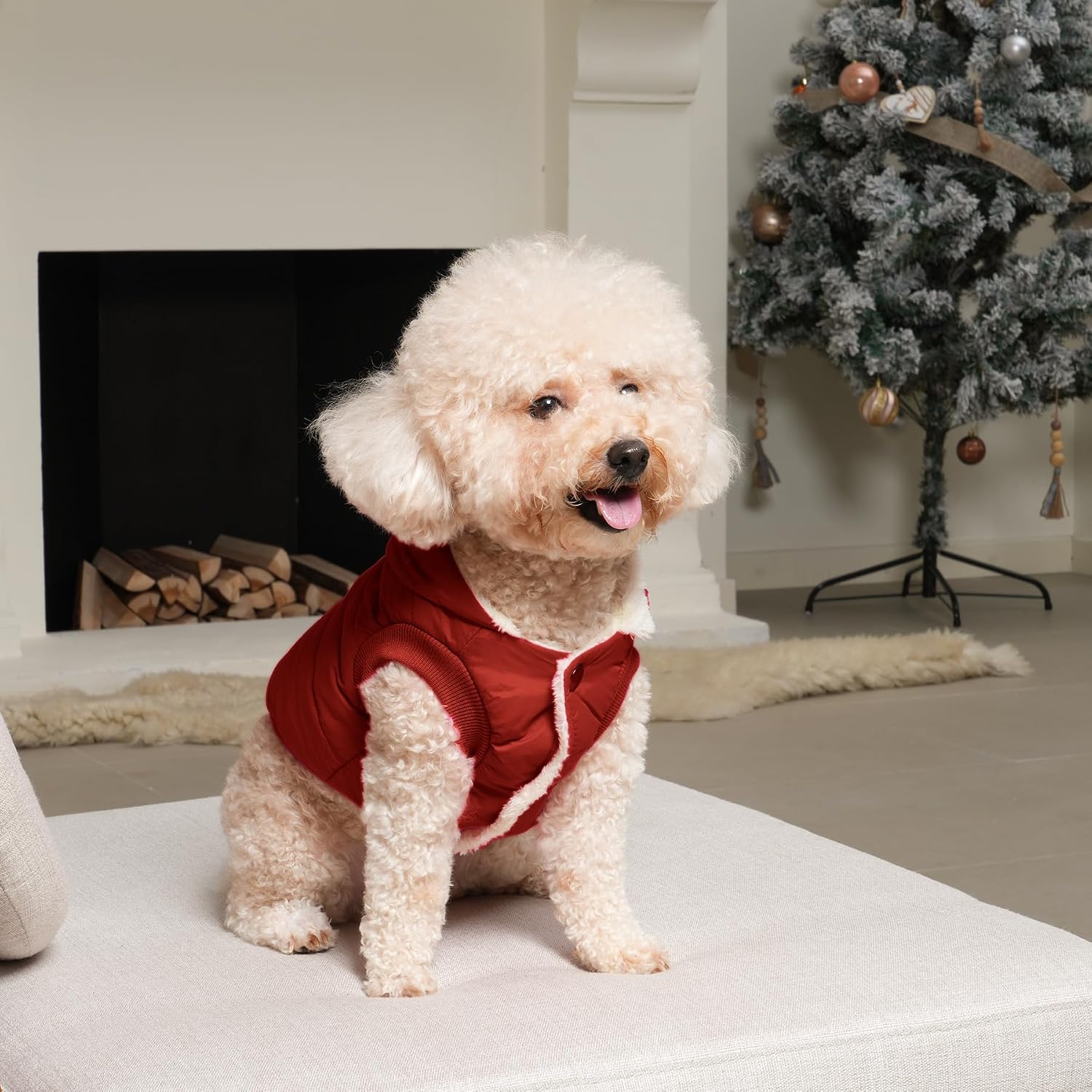 Vecomfy Warm Dog Coats with Hoodie,Winter Dog Jackets for Small Dogs