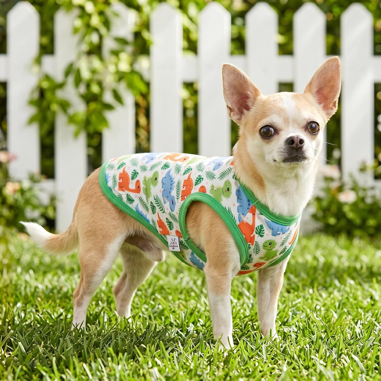 CuteBone Dog Shirts 2-Pack Soft Pet Clothes Breathable Summer Vest for Small Puppy and Stretchy Cat Apparel 2BX24L