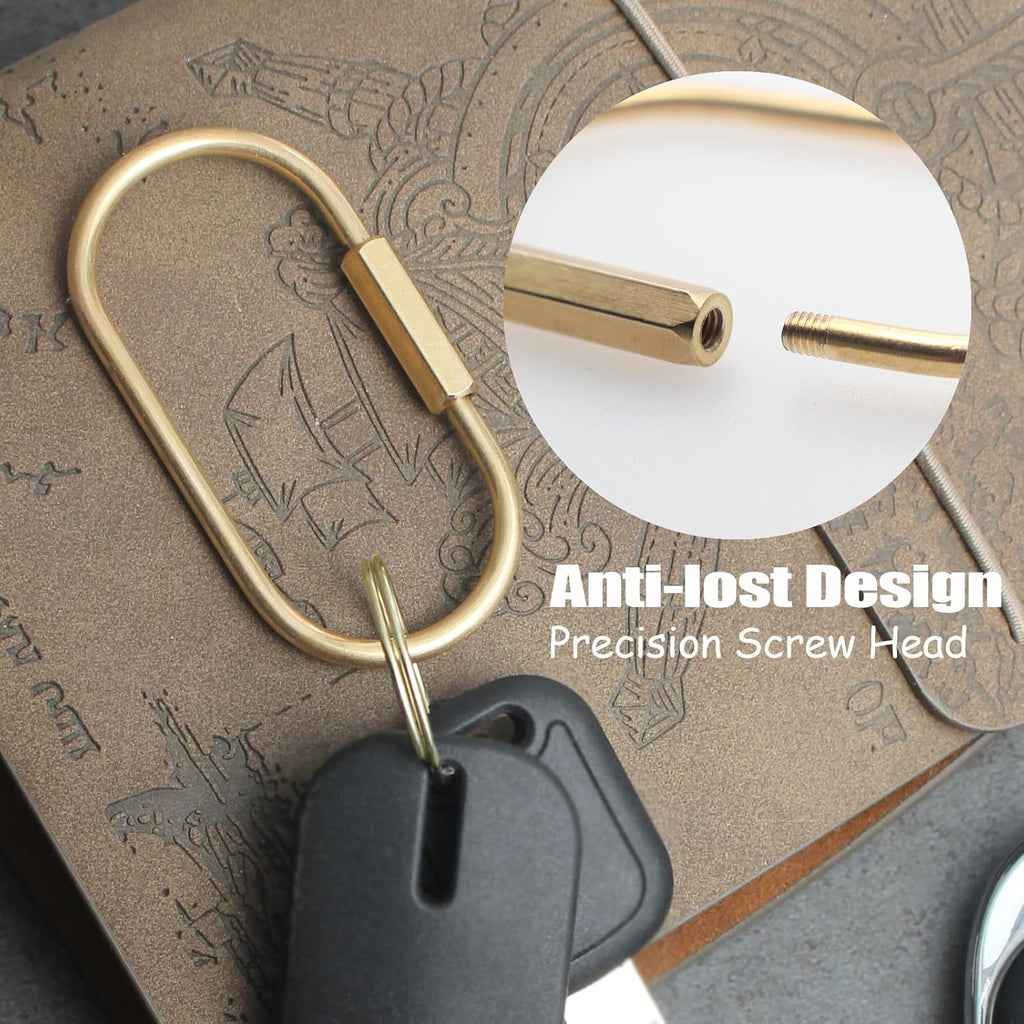 8 Pcs Locking Key Rings, Carabiner Keychain Clips, Screw Lock Key Organizer