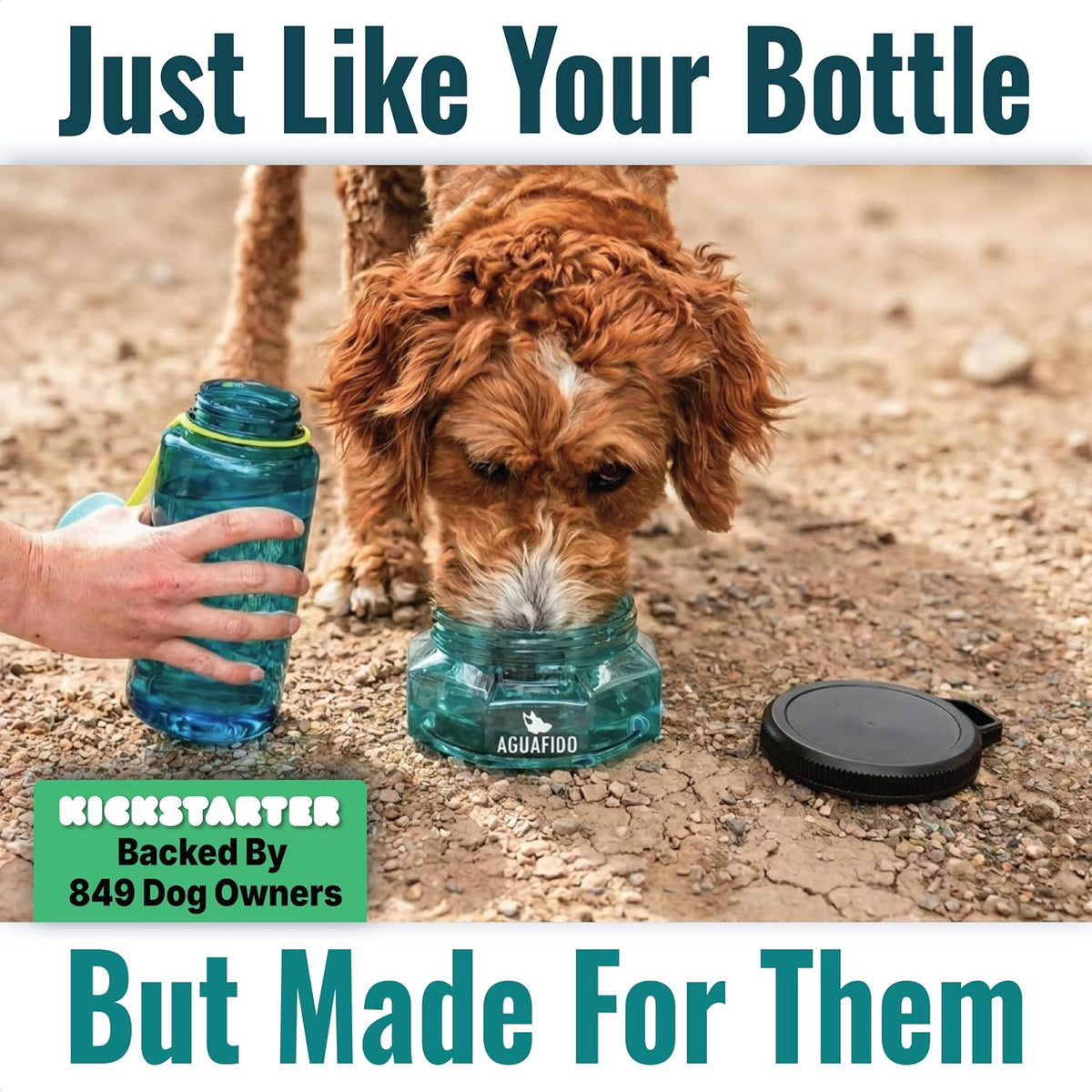 Dog Water Bottle, 27 oz Portable Dog Bowl with Leakproof Lid, Teal