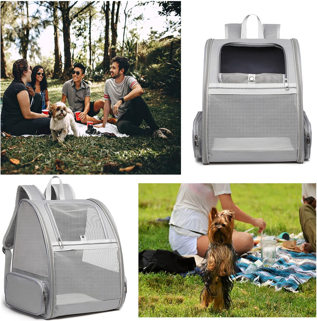 Texsens Innovative Traveler Bubble Backpack Pet Carriers for Cats and Dogs
