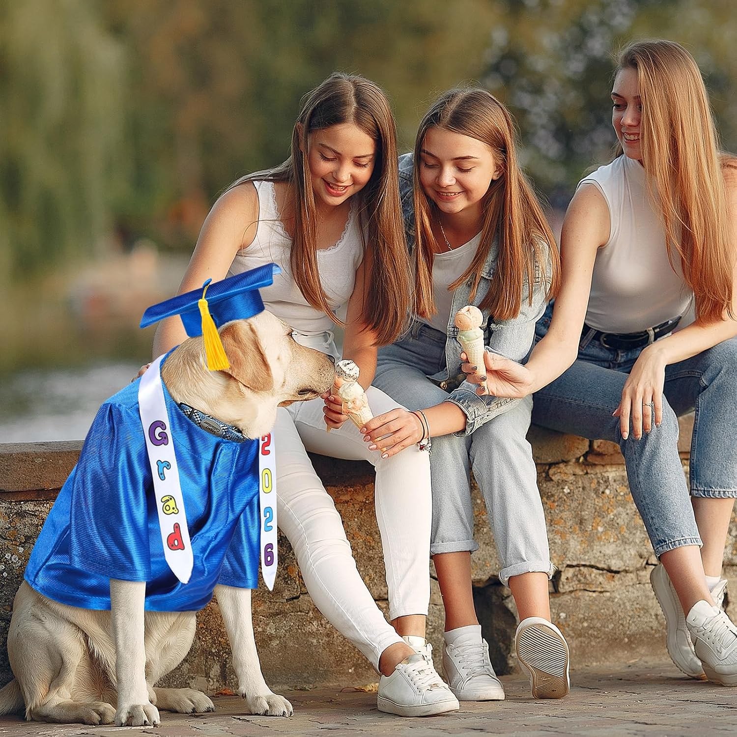 Chicingyou Small Dog Graduation Cap and Gown 2026 with Stole Washable Shirt and Hat Pet Graduation Gown Costume Outfit for Tiny Dog Little Cat Doll Clothes Holiday Halloween Costume Accessory(Blue)