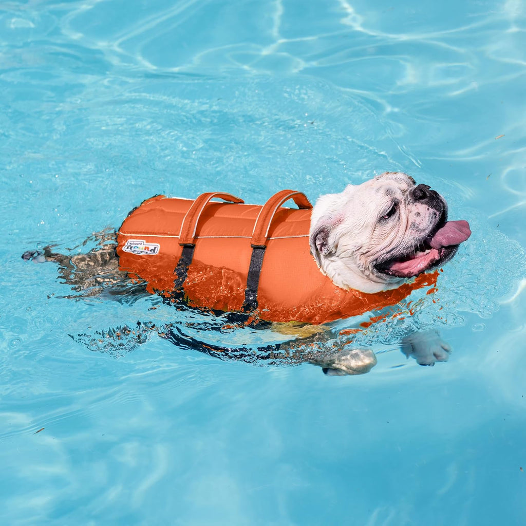 Outward Hound Granby Splash Dog Life Jacket, Life Vest, Orange, Small