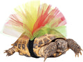 Tortoise Tutu Costume for Pet Tortoise Turtle Decoration Creative Gift
