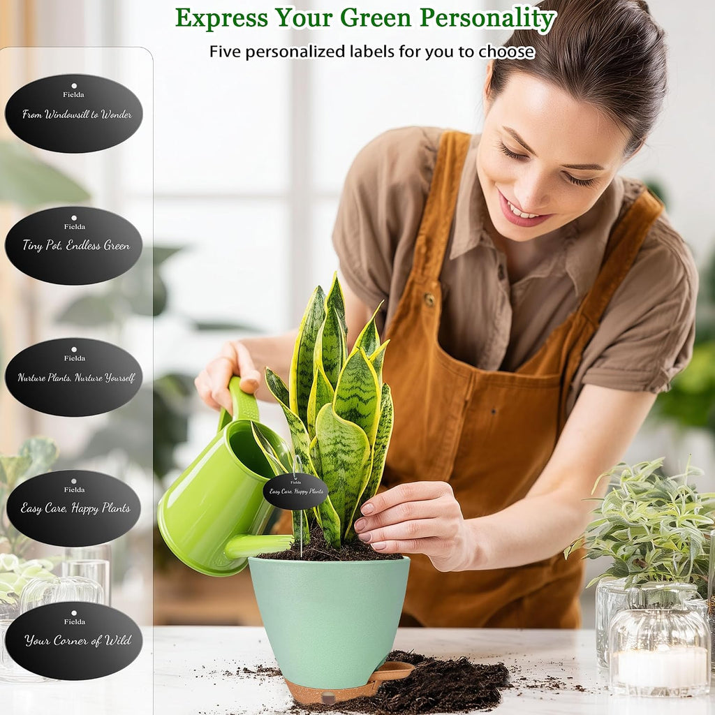 6 Inch Small Plant Pots for Indoor Outdoor Plants, 5-Pack, Self Watering