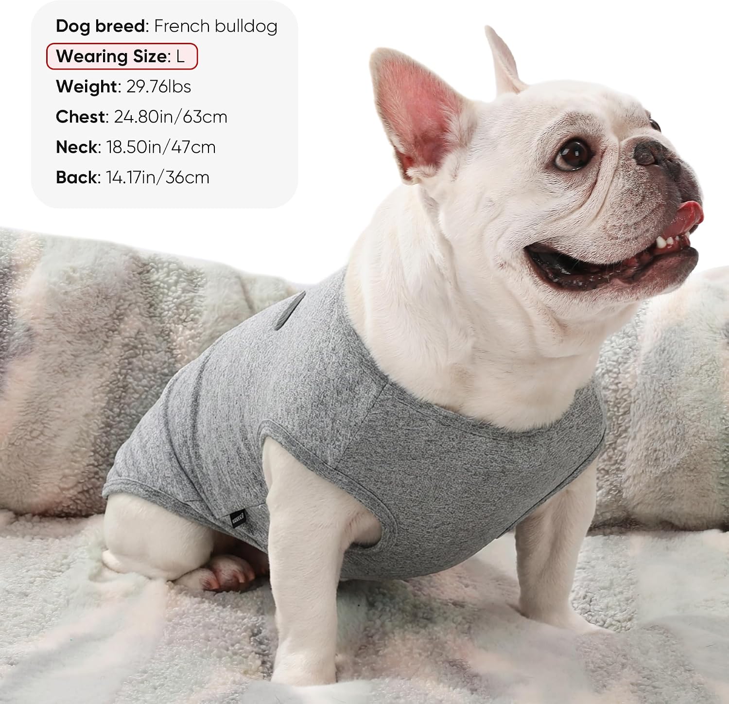 3 Pack Lightweight Sun Protection Dog Shirt Breathable Sleeveless Dog T Shirts Extra Soft Top Tank Dog Clothes for Outdoor Activities (Dark Gray + Sky Blue + Lake Blue, Medium)