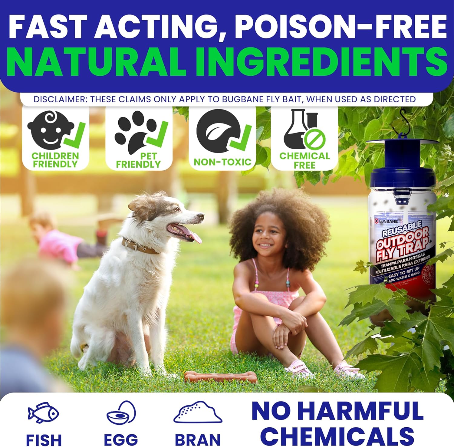 2 Fly Traps Outdoor Fly Trap for Patio with 4 Non-Toxic Dissolvable Bait Refills. Reusable Hanging Bug Catcher Killer for All Filth Flies for Outside Bug Control Yard Ranch. Hanging Chains Included.