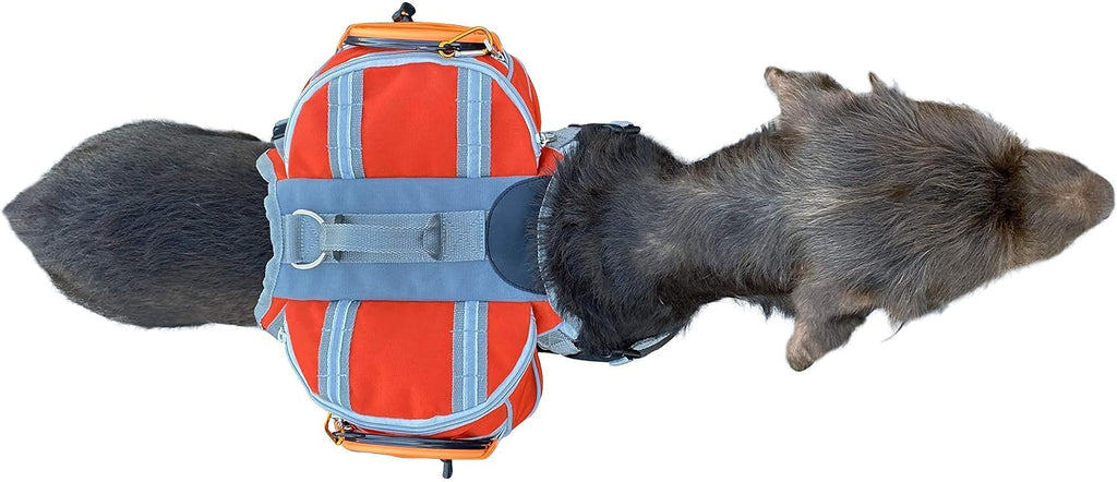 Saddlebag Back Pack & Harness Combo for Dogs 30-100+ lbs. Perfect for Travel, Trail Hiking, & Camping. Reflective, Lightweight, & Comfortable. Comes with Two Collapsible Bowls (Large, Orange)