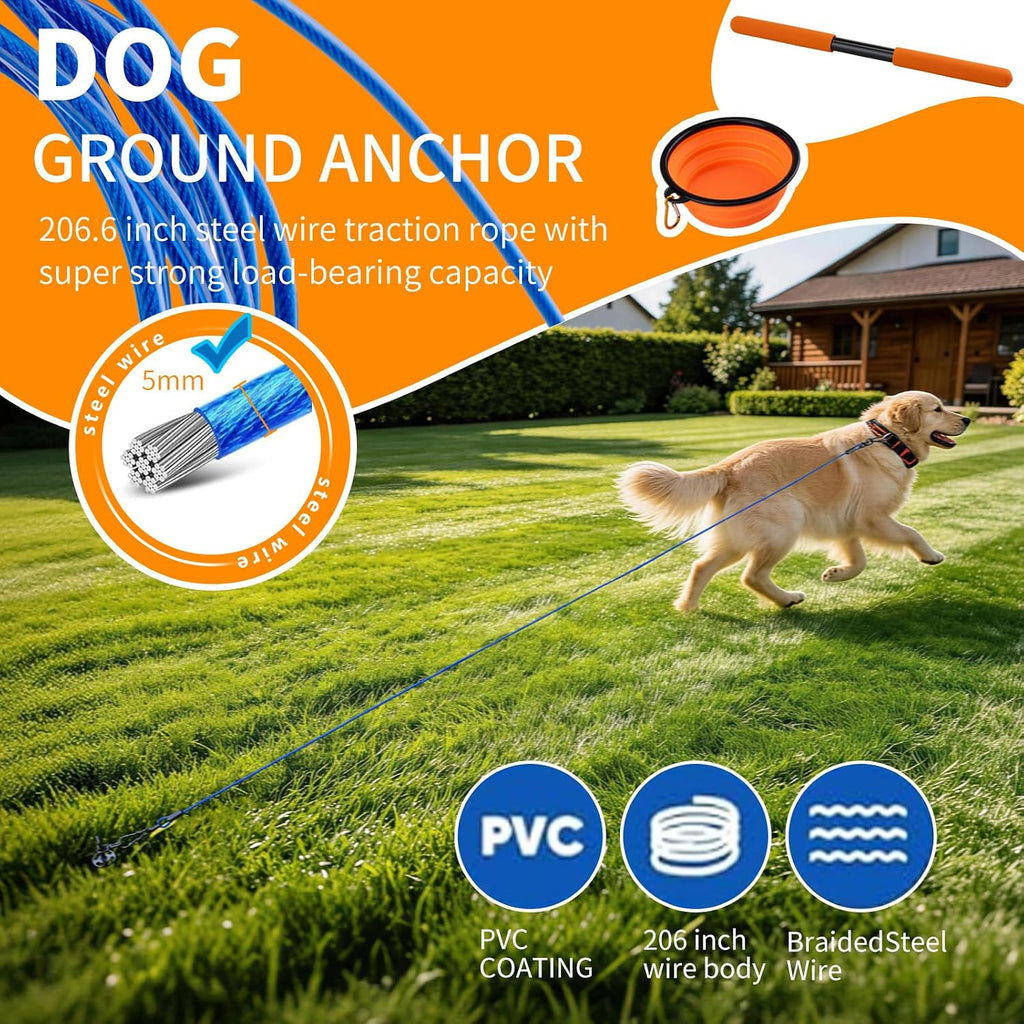 The Dog Outdoor Towing Set