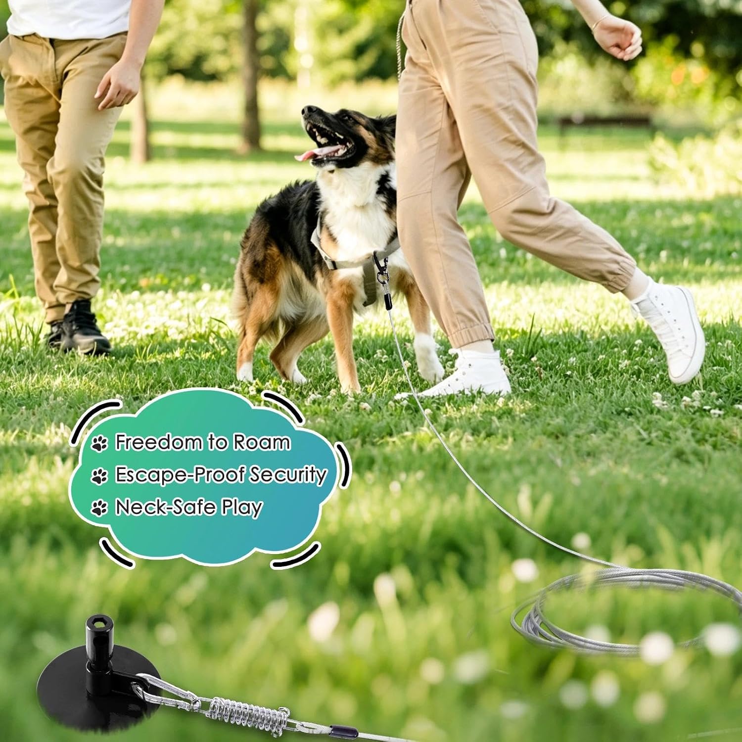 Dog Tie Out Stake with Lock-Cap,Heavy Duty Dog Stake for Outside