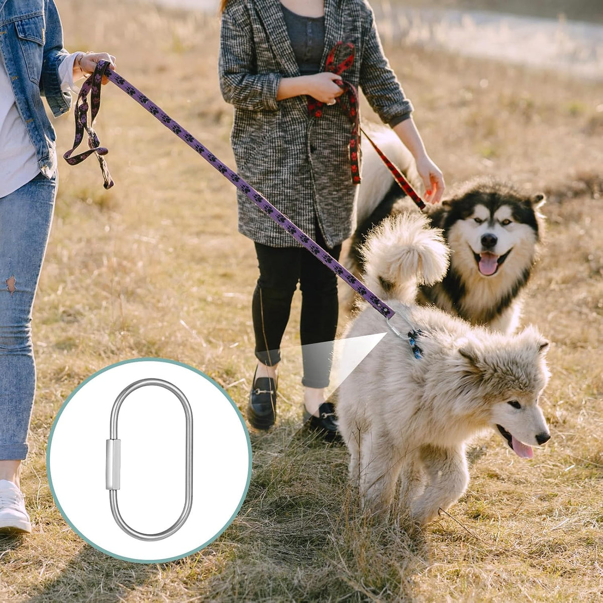 8 Pack Sliver Brass Key Ring Secure Screw Lock Carabiner Brass Keychain Clip with O Key Rings Purse Bag Charms for Handbags Dog Leash Pet Tags