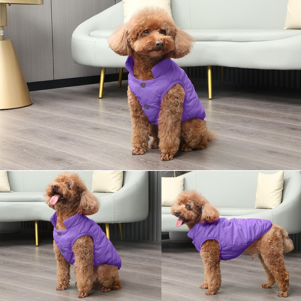 JoyDaog Fleece Lined Dog Jacket for Small Dogs,Winter Dog Coat,Purple M