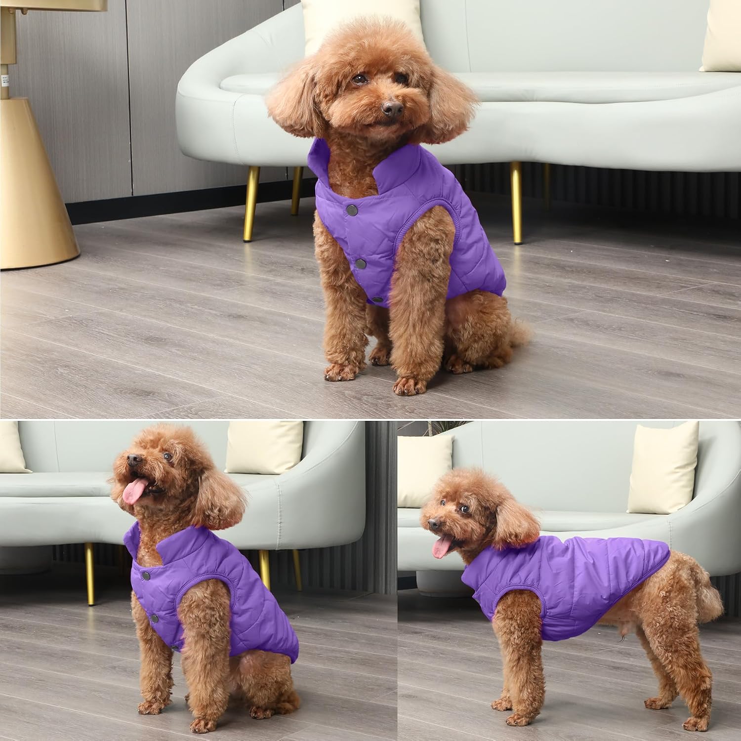 JoyDaog Fleece Lined Dog Jacket for Small Dogs,Winter Dog Coat,Purple M