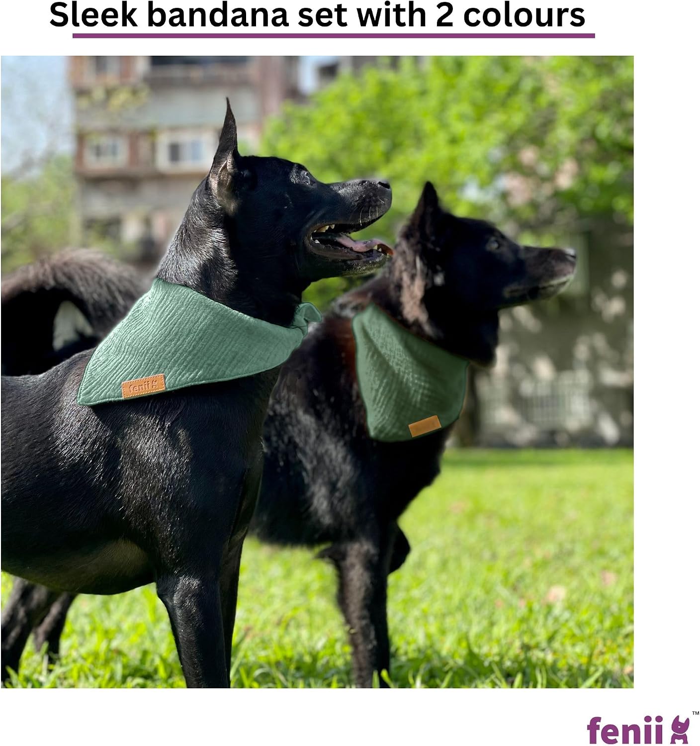 Premium Cotton Dog Bandanas - 2 Pack - Adjustable Fit - Washable - for Small, Medium & Large Breeds - Girl & Boy Dog Accessories - Multiple Sizes (Forest Green & Seafoam Green, Large)