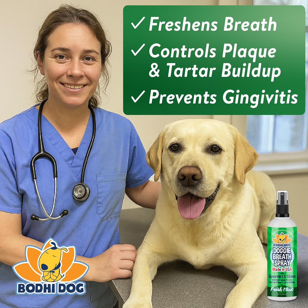 Bodhi Dog Natural Dog Breath Freshener Spray | Fresh Breath for Dogs, Tartar & Plaque Remover | Supports Teeth & Gum Health | Bad Breath Treatment & Promotes Clean Oral Hygiene | Made in USA | 8oz