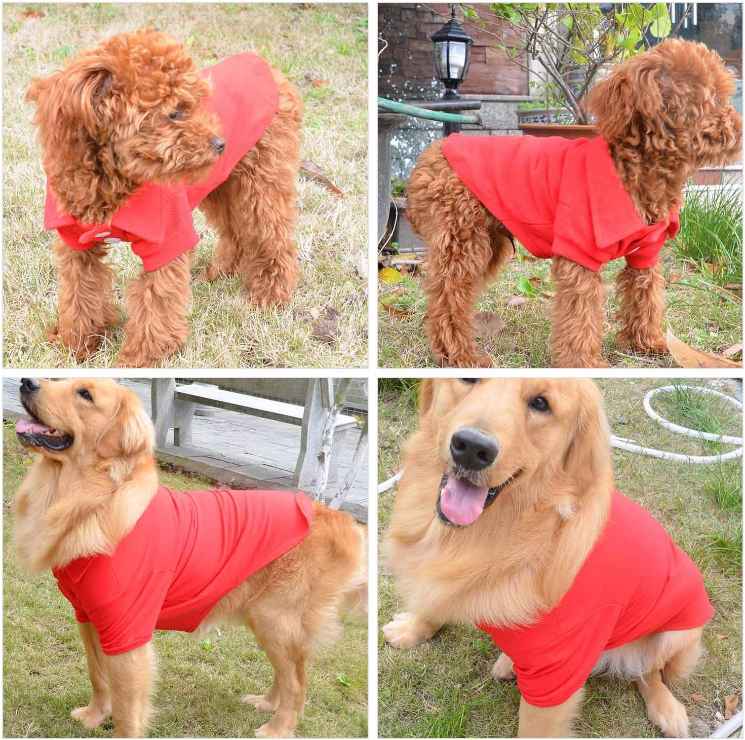 lovelonglong Basic Dog Polo Shirts Premium Cotton, Polo T-Shirts for Large Medium Small Dogs with a Two-Button Collar Blank Color Red XL