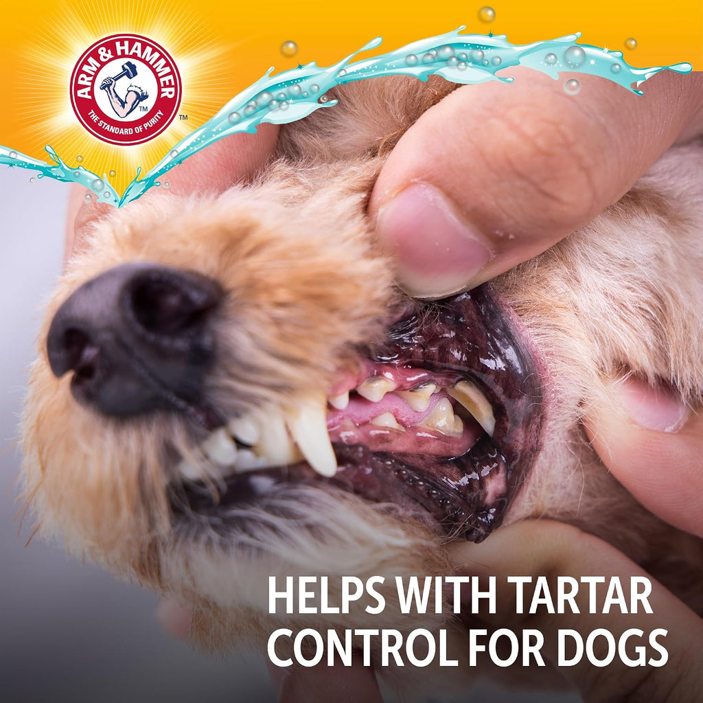Arm & Hammer Complete Care Dog Dental Water Additive, 16 Fl Oz, 3-Pack