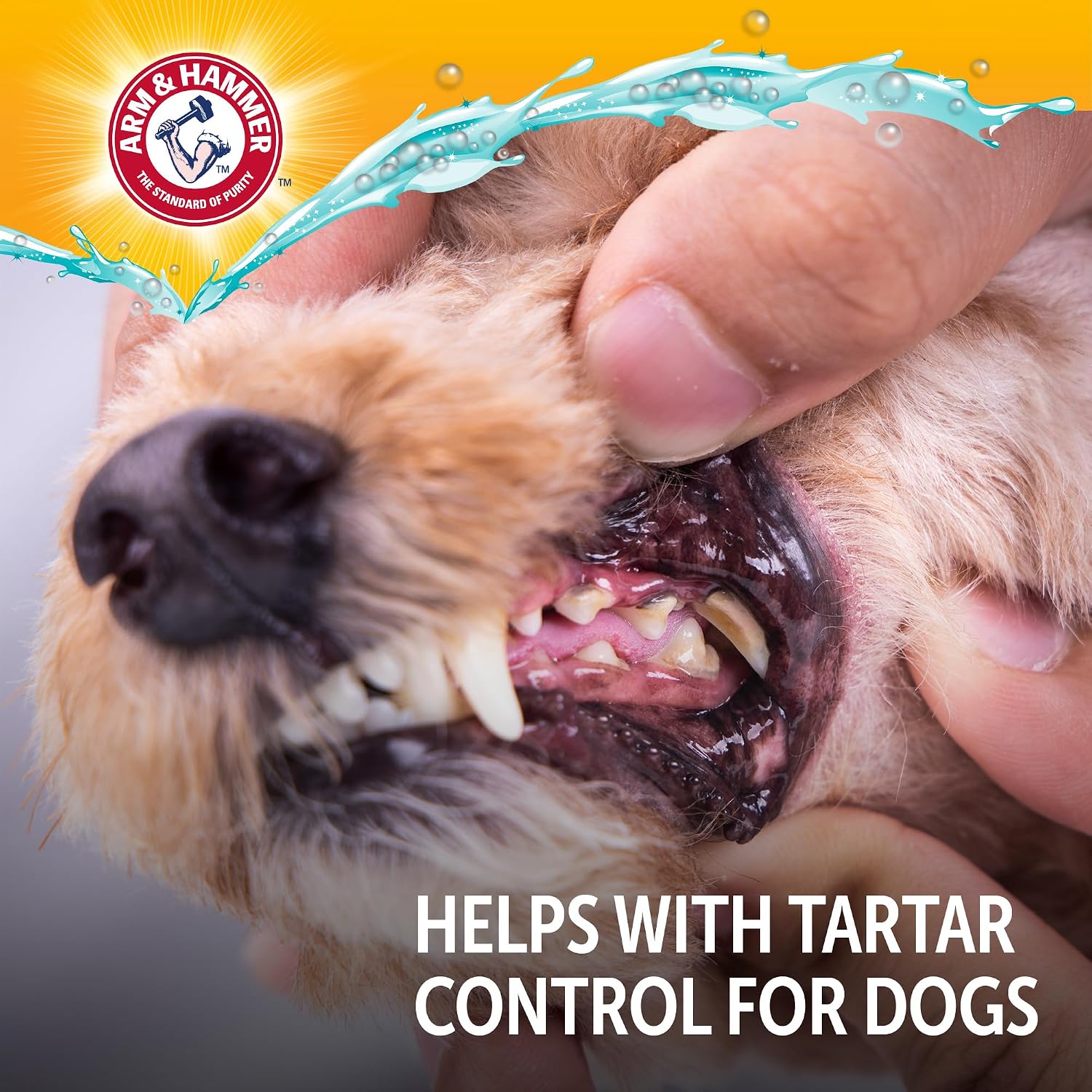 Arm & Hammer Complete Care Dog Dental Water Additive, 16 Fl Oz, 3-Pack