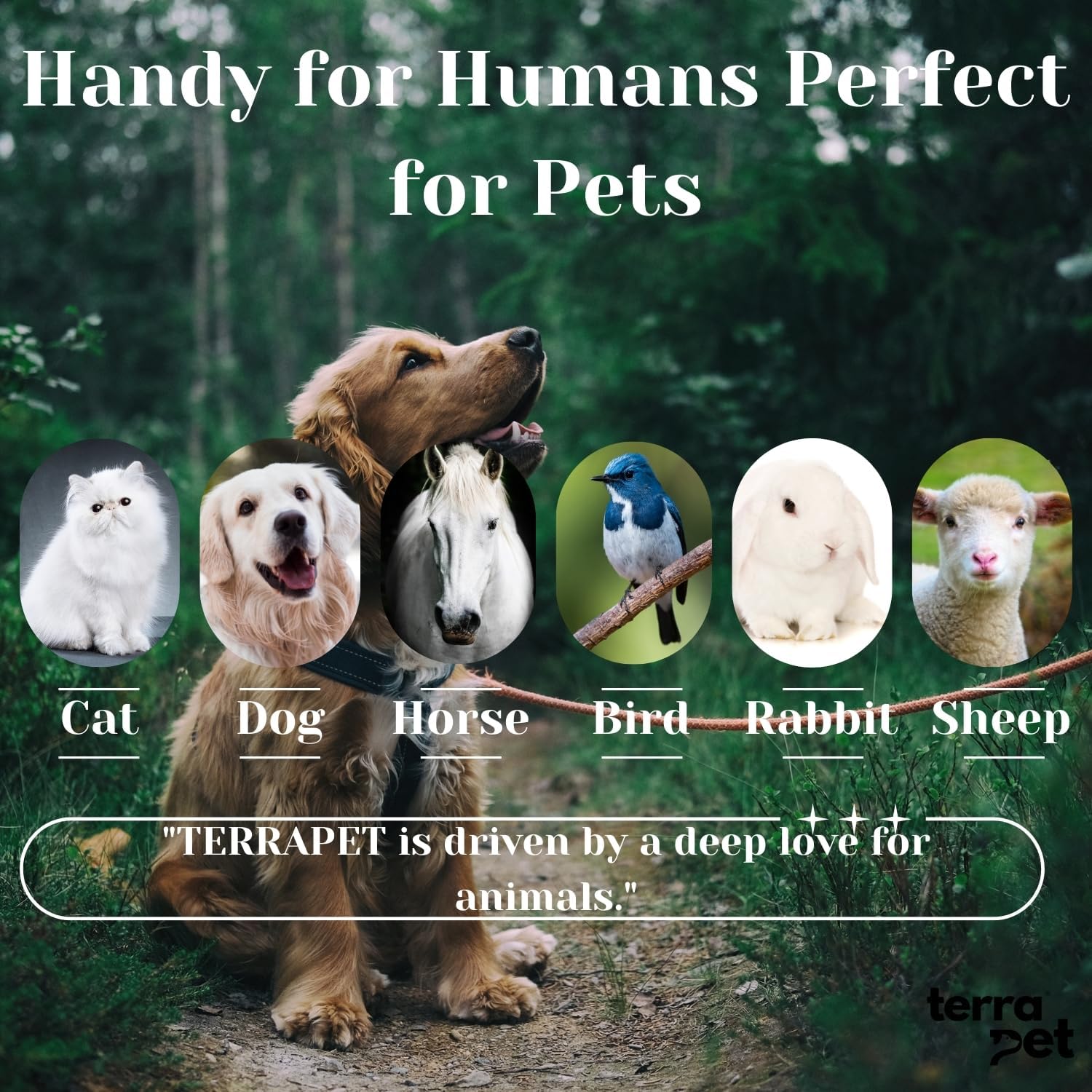 Pet Eye Care Ointment for Dogs, Cats, Cattle, Sheep, Horse, Bird 1/8 oz / 5 gr, 1 Tube