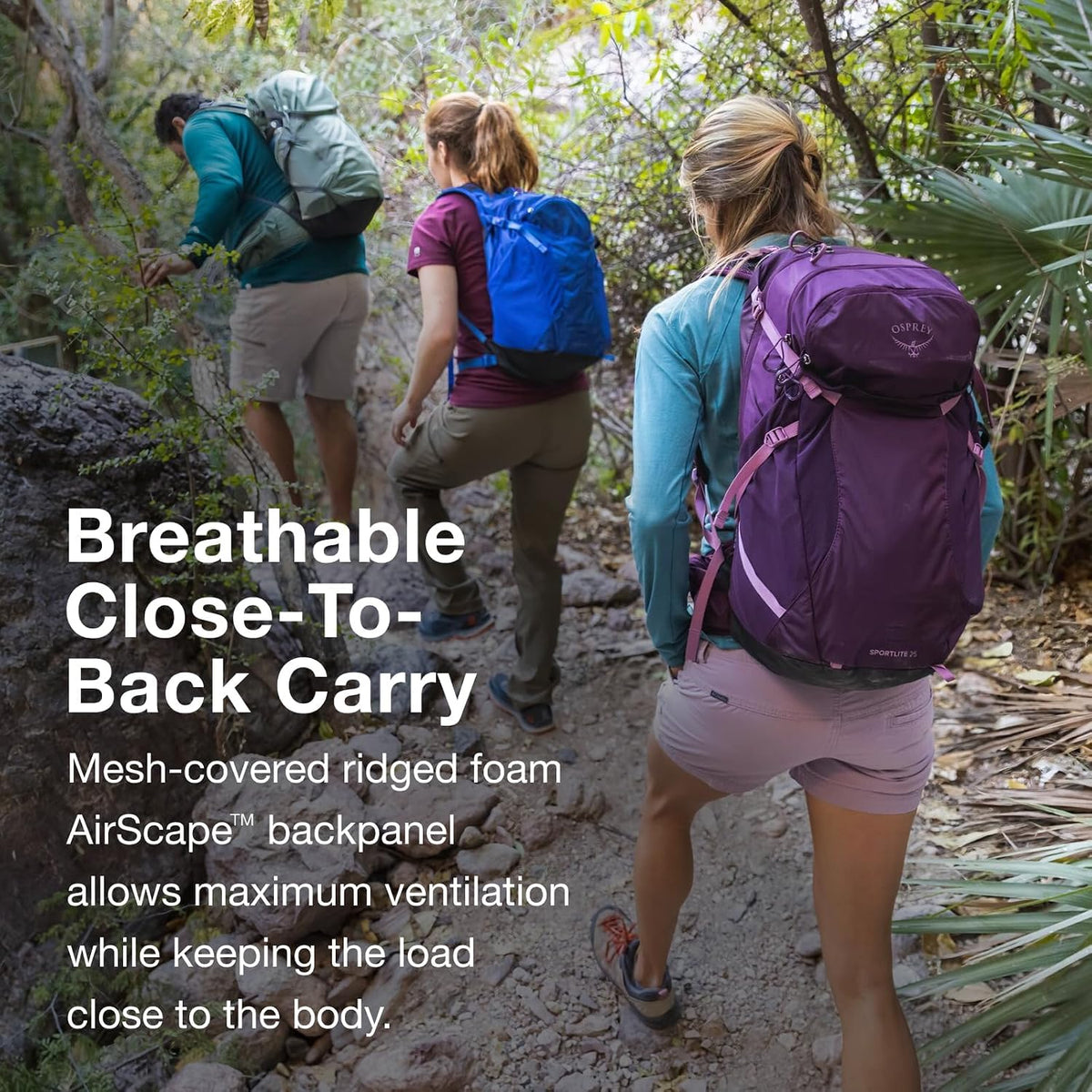 Osprey Sportlite 25L Lightweight Hiking Backpack for Men and Women, Blue Sky, M/L