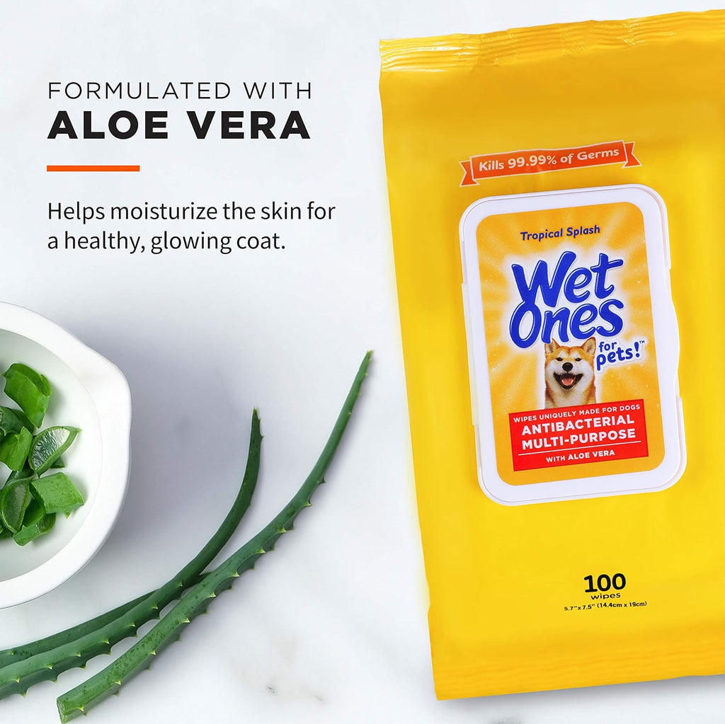 Wet Ones for Pets Multipurpose Dog Wipes, Tropical Splash, 100 Count, 3-Pk