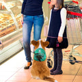 Dog Hiking Backpack Lightweight, Adjustable, and Waterproof Pet Poopbag Holder for Outdoor Adventures,Puppy Training School or Everyday Walks (Small)