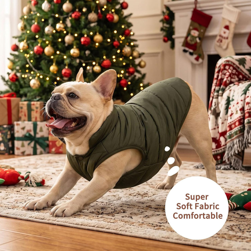 JoyDaog Fleece Lined Dog Jacket for Small Dogs,Winter Dog Coat,Green M
