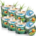 DL DREAMY DEWLA Citronella Candles Outdoor, Soy Wax 2.2 oz 6 Pack