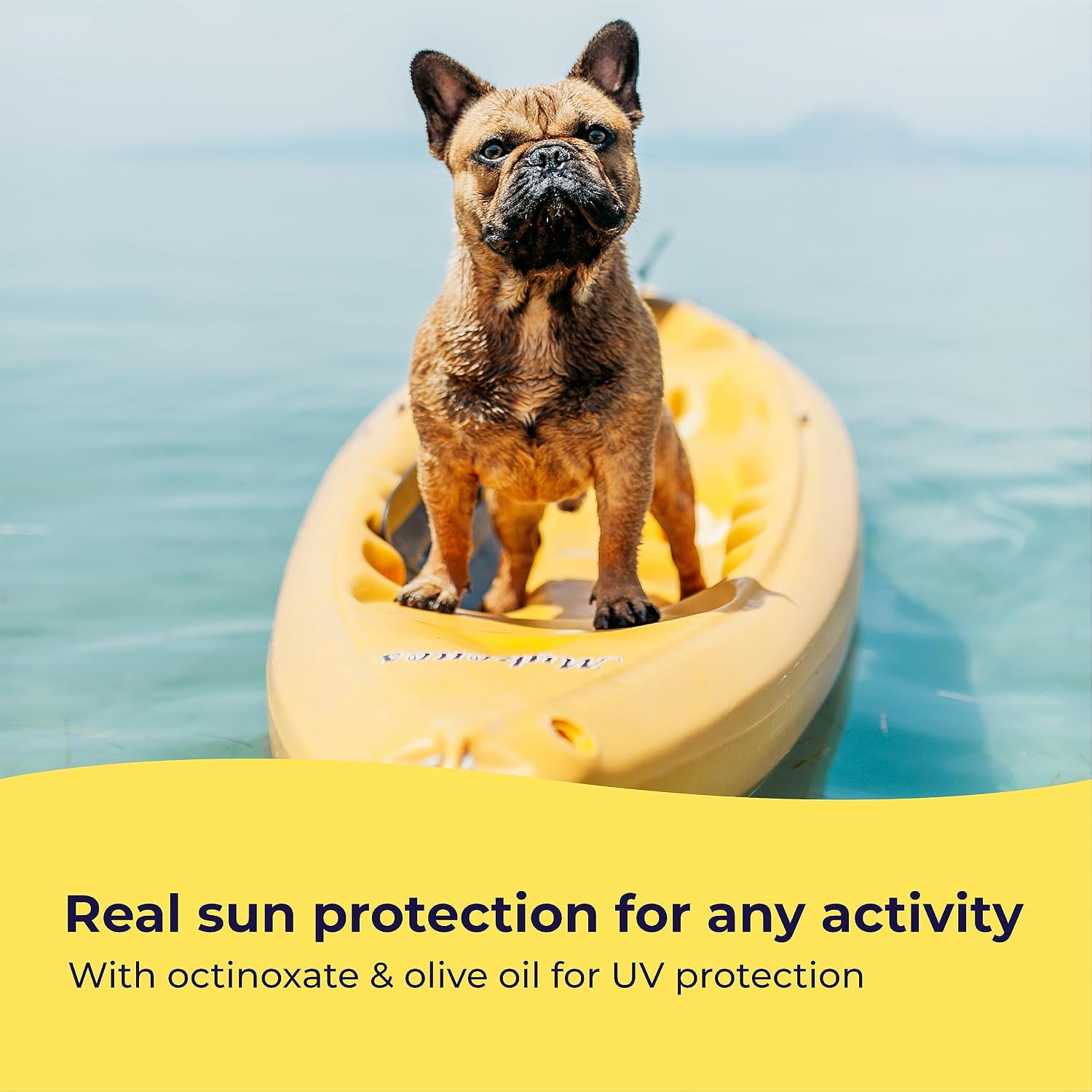 Gentle Creatures Dog Sunscreen SPF 30, No Zinc Oxide, Safe for Dogs & Cats