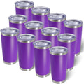 20oz Tumbler with Lid Stainless Steel Tumblers Insulated Mug Purple 12P