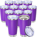 20oz Tumbler Stainless Steel Tumbler Coffee Tumbler with Lid Purple, 12P