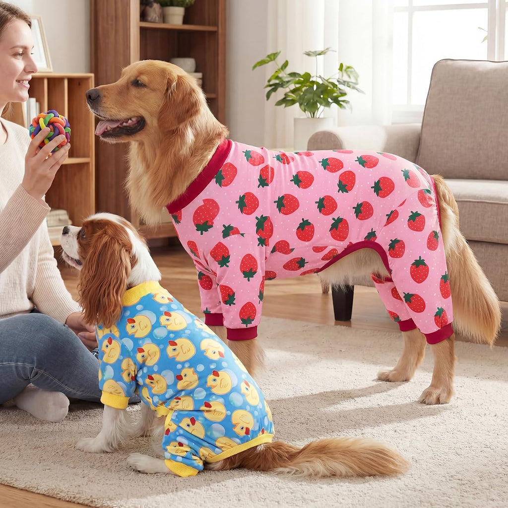 XPUDAC 4 Pack Dog Pajamas for Small Dogs Pjs Clothes Puppy Onesies, M