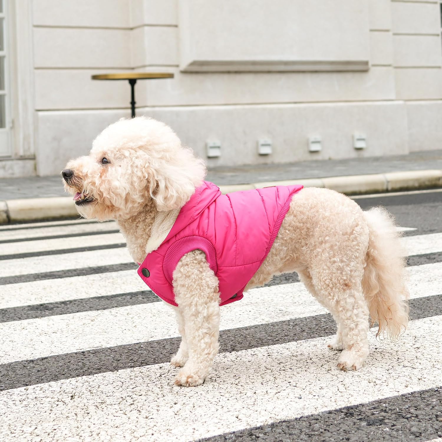 Vecomfy Warm Dog Coats with Hoodie,Winter Dog Jackets for Large Dogs