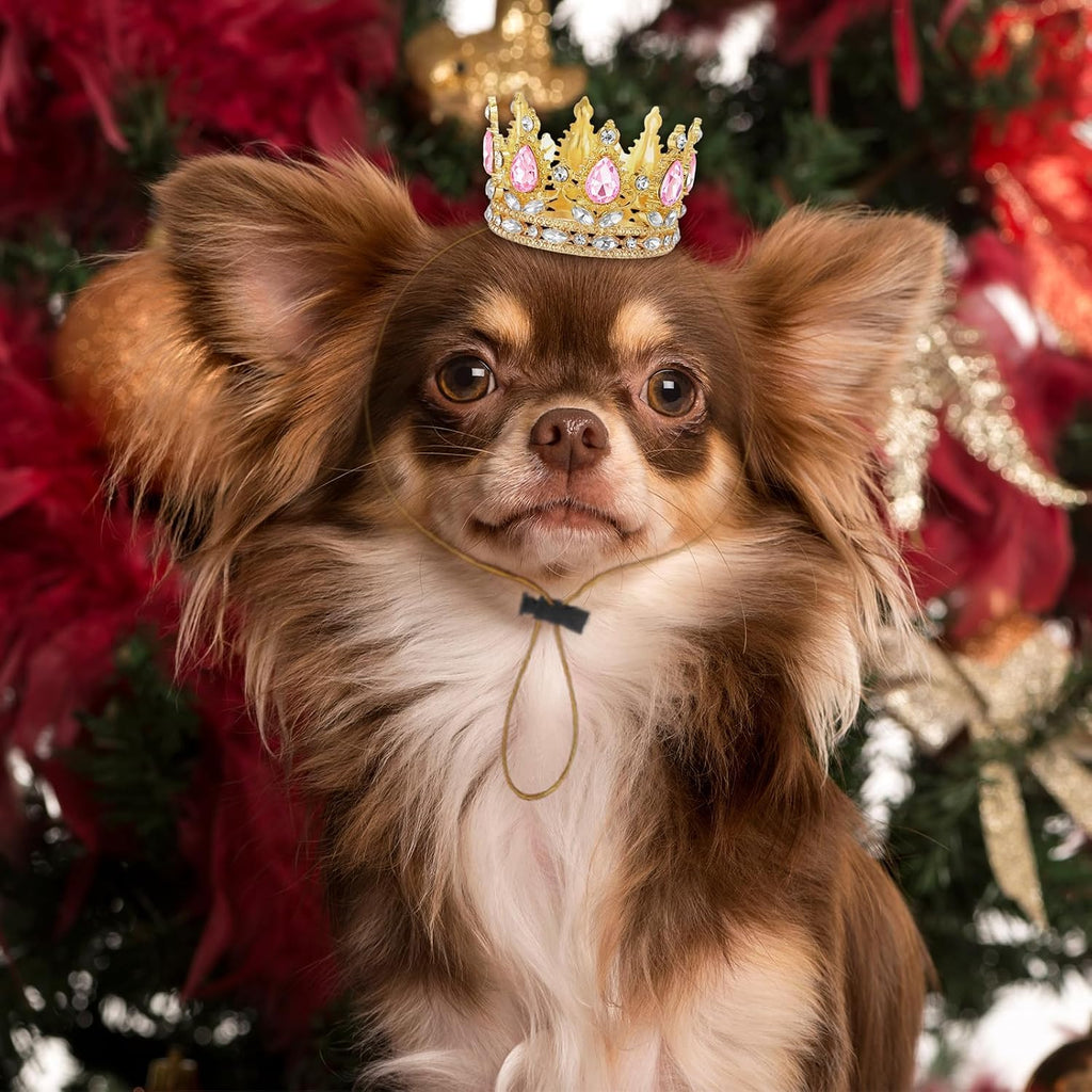 Abbylike Dog Birthday Crown Queen for Pet Costume,Pink,Small