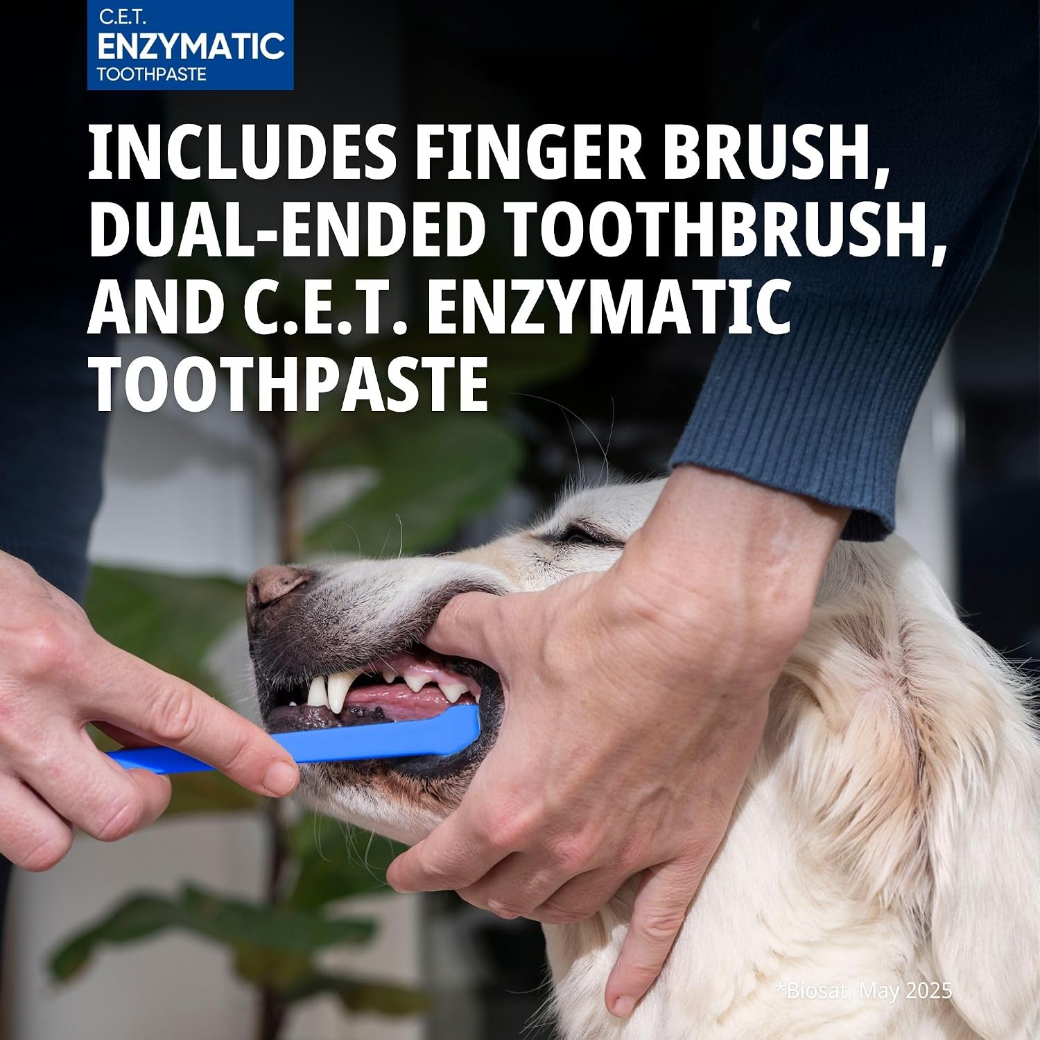 C.E.T. Oral Hygiene Kit for Dogs, Poultry flavor Toothpaste with Toothbrush