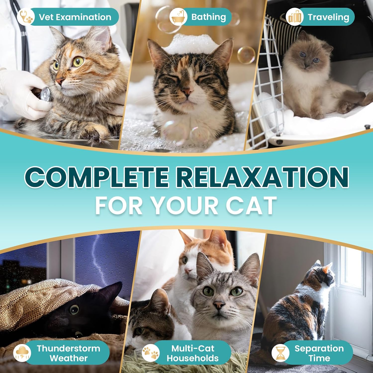 Cat Calming Treats, 140 Soft Chews to Relieve Anxiety, Stress & Prevent Bites, Perfect for Travel & Veterinary Visits, Soothing Calming Care for Indoor Cats Chicken Flavor 7.41 OZ