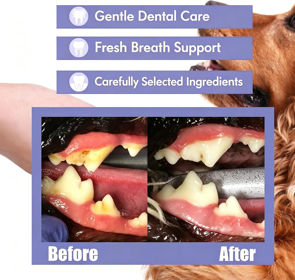 JoanofArc Teeth Cleaning Spray for Pets, Peppermint Freshen Oral Spray, Bad Breath & Tartar Plaque Support, Help Reduce Plaque & Tartar, No Brushing, Oral Care Cleaner, 1.01 fl oz