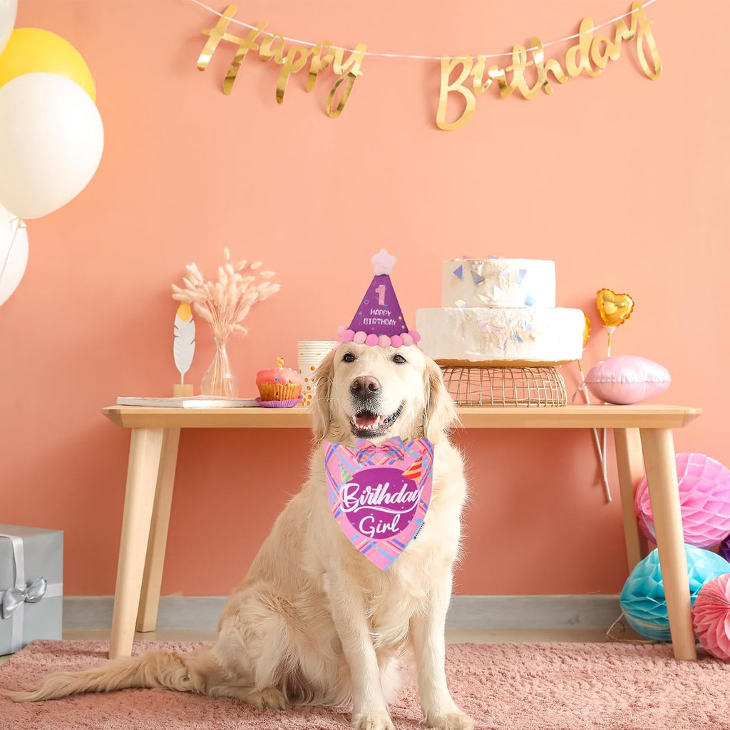 ADOGGYGO Dog Birthday Hat, Pink Birthday Girl Dog Bandana Set, X-Large