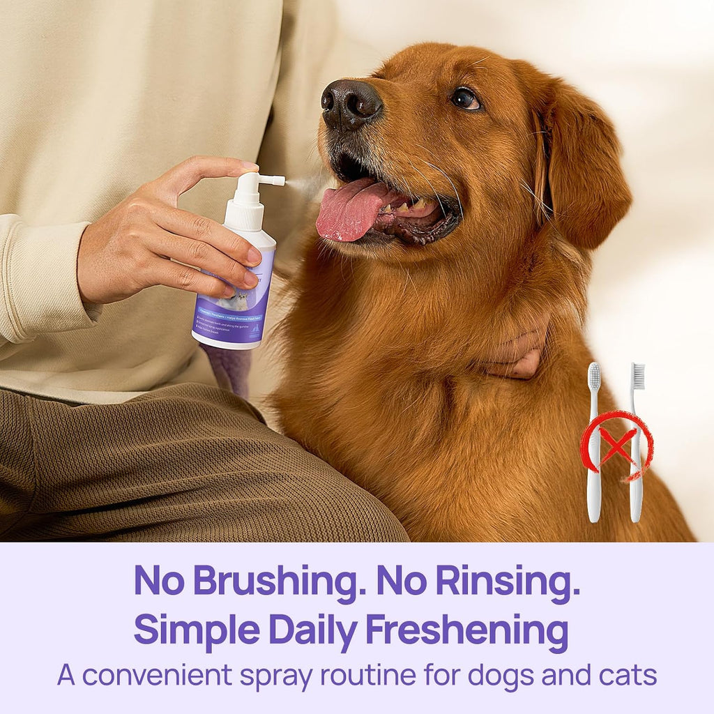 HICC PET Dog Mouth Cleaning Spray, Helps Freshen Breath, 5.1 Fl Oz