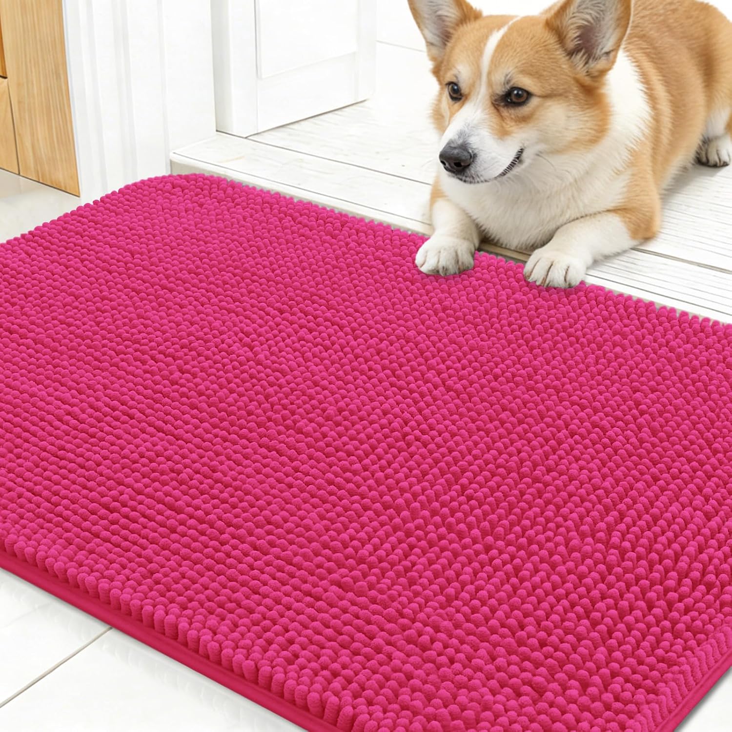 OLANLY Dog Door Mat for Muddy Paws 24x16, Super Absorbent Chenille Mud Mat