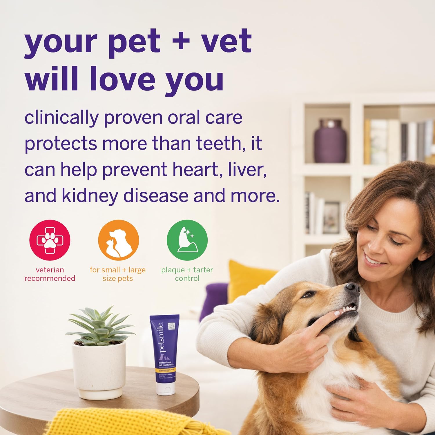Petsmile VOHC Accepted Pet Toothpaste, London Broil 2.5 Oz, Cats + Dogs