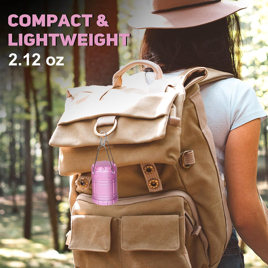 2-Pack Mini LED Pink Camping Lantern