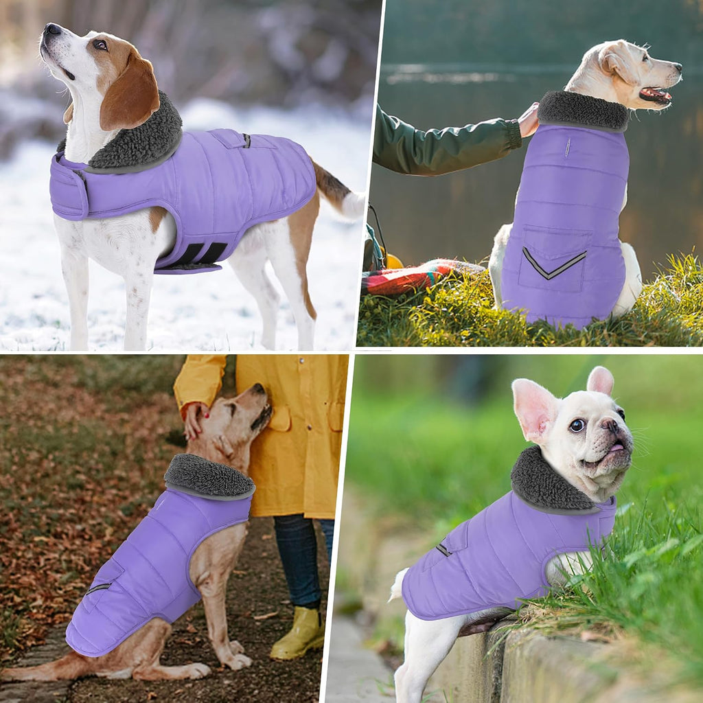 Petglad Dog Coat, Waterproof Dog Winter Jacket with Pocket, Reflective Adjustable Pet Snow Vest, Warm Cozy Fleece Sweater for Small Medium Extra Large Dogs - Light Purple, XS