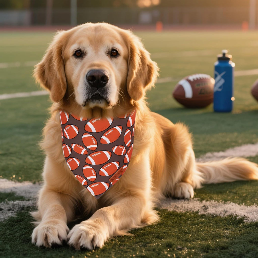 ADOGGYGO Football Dog Bandanas Boy, 2 Pack Football & Donut Scarf, X-Large