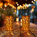 DIBIEECN Birthday Gifts for Women Mom Grandma Wife, Solar Lanterns Outdoor Waterproof, Metal Hanging Lights Garden Decor, LED Decorative Lantern for Patio Porch Backyard, Dragonfly, 2Pack