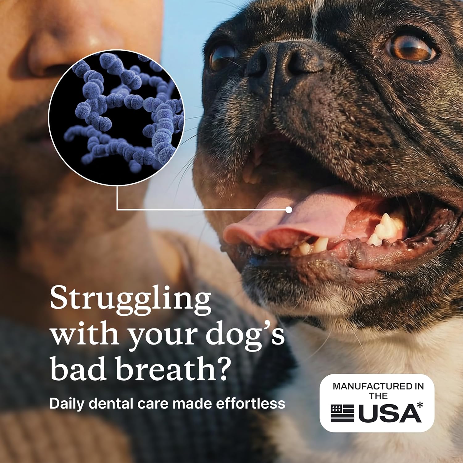 PetLab Co. ProBright Dental Powder for Small Dogs, 30 Scoops
