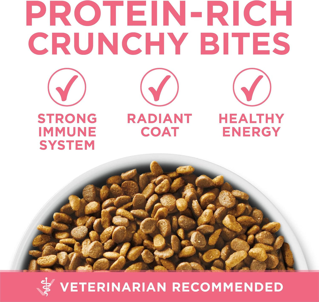 Purina ONE High Protein Natural Kitten Dry Cat Food, 3.5 lb Bag