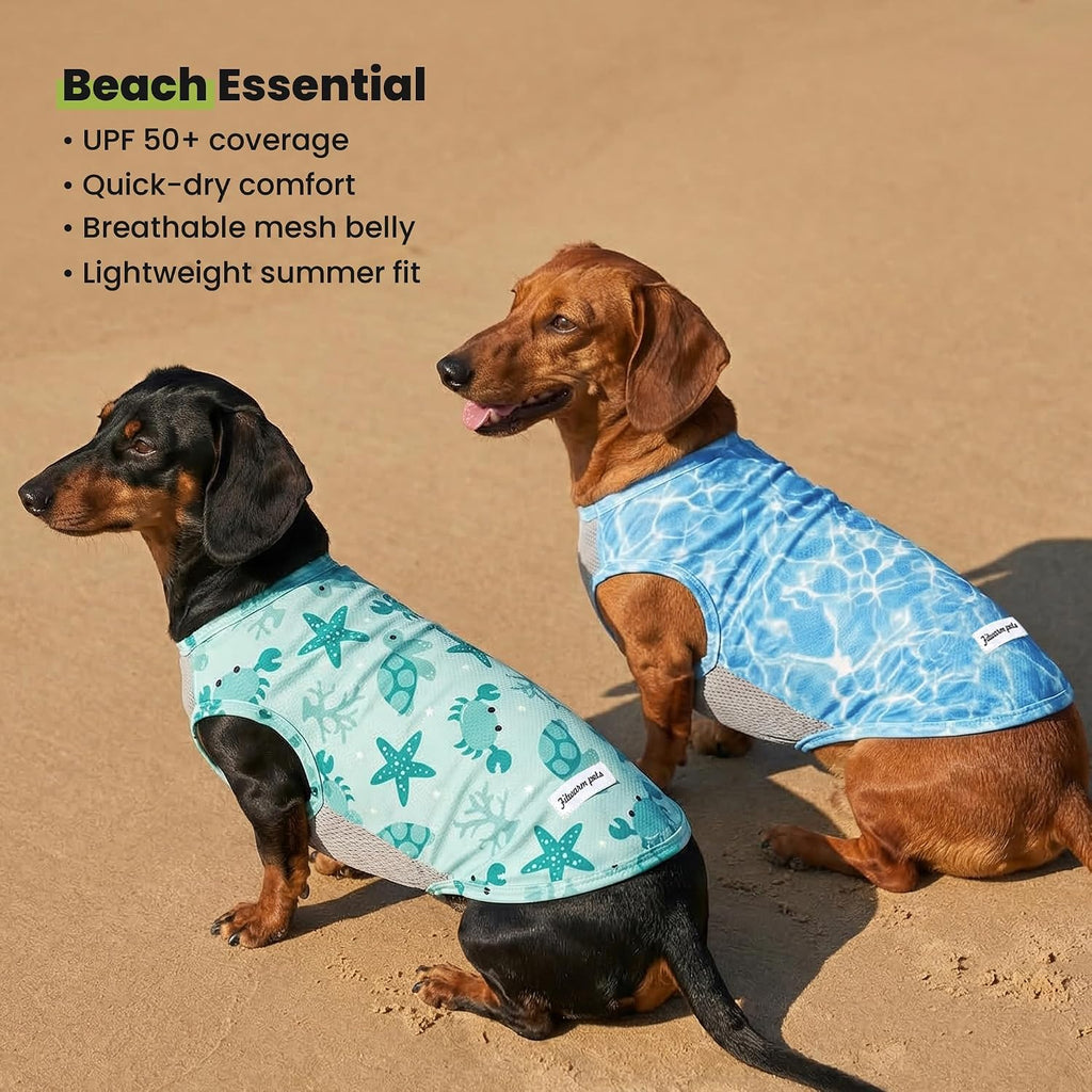 Fitwarm 2 Pack Marine UPF 50+ UV Sun Protection Dog Shirt, Lightweight Cooling Vest, Quick Dry Summer Clothes for Small Dogs Boy Girl, Pet Outfit, Sky Blue, Mint Green, Small