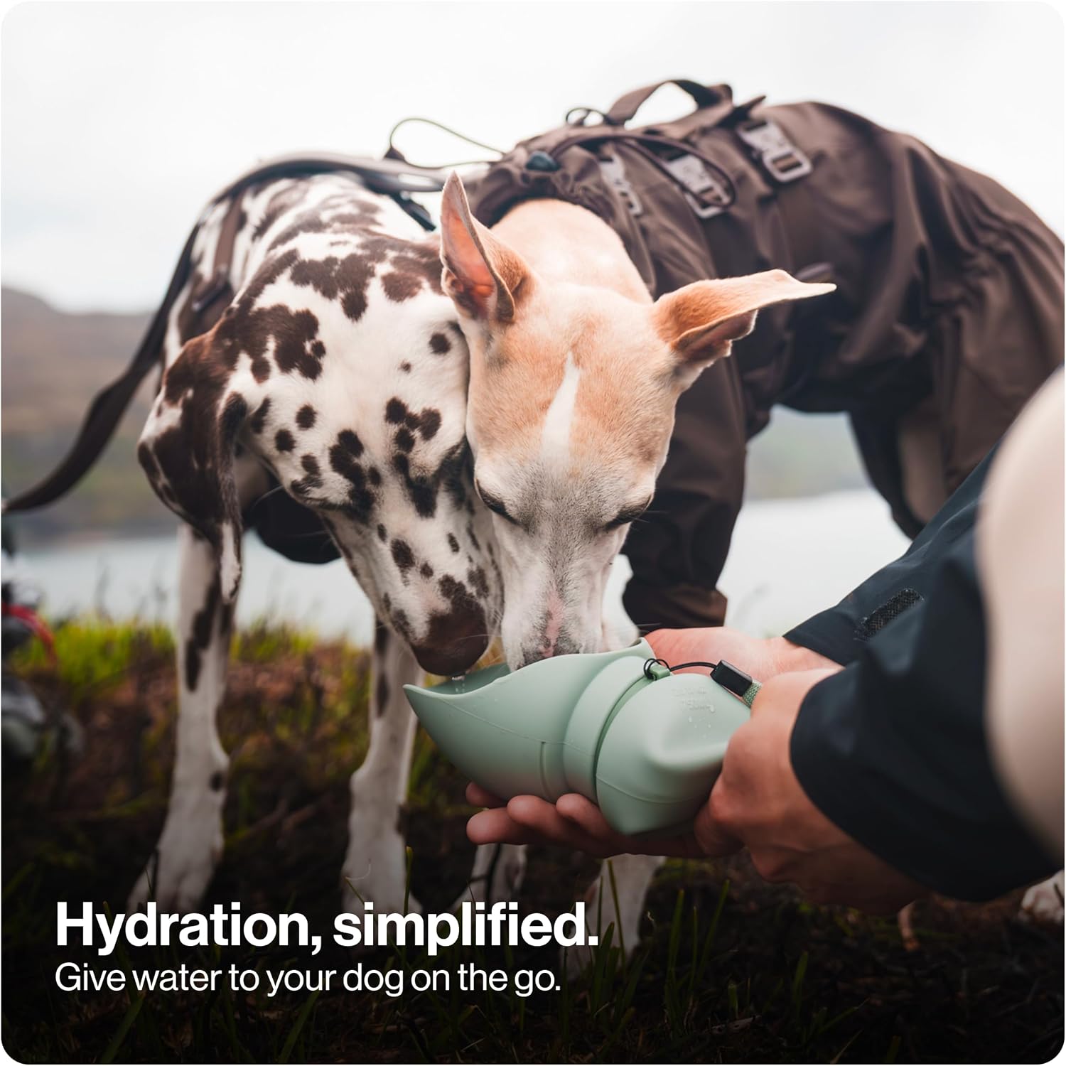 SÄKER Portable Dog Water Bottle, Collapsible Water Bottle for Dogs Perfect for Walking, Hiking and Outdoors | Works as a Portable Water Bowl | Designed in Montreal - 350ml